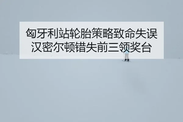 匈牙利站轮胎策略致命失误 汉密尔顿错失前三领奖台